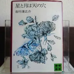 【希少】星と月は天の穴 講談社文庫