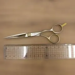 Item thumbnail for item ea865141-5984-4142-a68e-f6625953c339