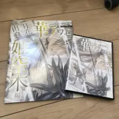 華アワセ 姫空木編