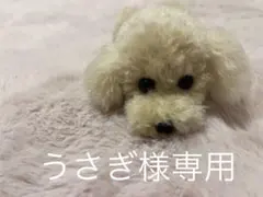 うさぎ様専用 トイプードル編みぐるみ（植毛）犬【伏せポーズ】アプリコット
