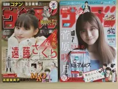 週刊少年サンデー 2024年 乃木坂、櫻坂、日向坂 5冊セット