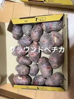 2026年最新】種芋 レッドムーンの人気アイテム - メルカリ