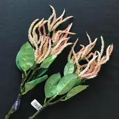アマランサス　モーブグリーン　造花　2本 新品