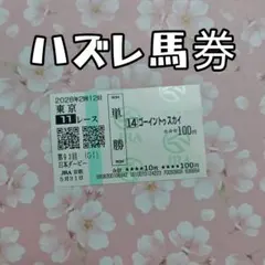 第93回 日本ダービー 単勝馬券 競馬 印刷物