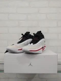 AIR JORDAN xxxvi pf　36 PF スニーカー