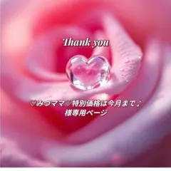 ♡みつママ♡特別価格は今月まで♪様専用ページ
