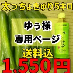 ゆぅ様専用ページ。太っちょ（週末発送）