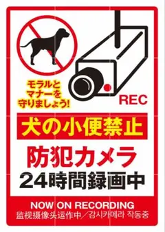 Item thumbnail for item 34aca44e-13ea-41b2-afd5-7b843ec9a10e