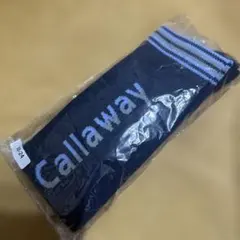 Item thumbnail for item f8c8d7b3-9f16-4250-b7a3-5872518d212b