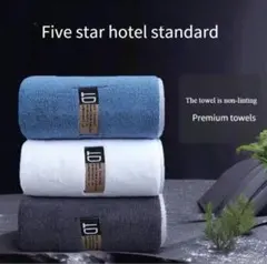 5つ星ホテル マイクロファイバーハンドタオル 3枚セット 24×14cm 3色