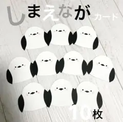 【保育】シマエナガカード★10枚★製作★壁面★鳥