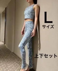 Item thumbnail for item ed3e6bc3-47fc-482d-a33d-7289cf84138b