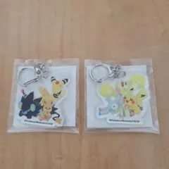 ポケモンセンター 8周年 キーホルダー セット 特典　アクリルキーホルダー