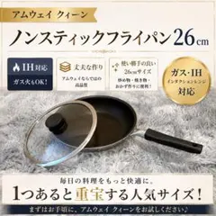 アムウェイ クィーン ノンスティック　フライパン 20cm 本日限定値下げ価格 アムウェイ クィーン ノンスティック フライパン 20cm 本日限定値下げ