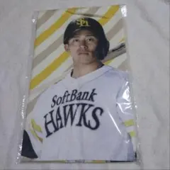 巨人 ジャイアンツ 長嶋茂雄 フェイスタオル 我が巨人軍は永久に不滅