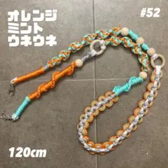 レーズン様専用ページ【他の方のご購入お控えください】