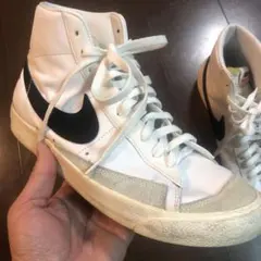 Item thumbnail for item b08596c4-7992-4395-960d-f67d7a375c4e