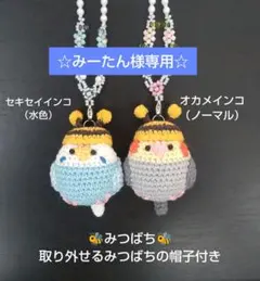 ☆みーたん様専用☆インコのあみぐるみバッグチャーム2点セット