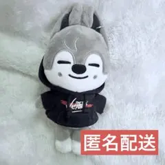 StrayKids MINI PLUSH ぬいぐるみ バンチャン　ウルフチャン