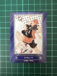 ジャンプフェア'24 アニメイト カード ハイキュー