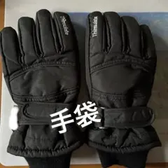 Item thumbnail for item d668c4ae-5e3e-4f8f-a695-0d70bf166de2