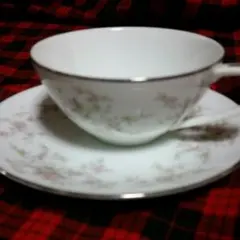 ノリタケのカップ、ソーサーNo58021客