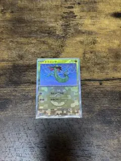 ポケモンカード ドラメシヤマスボ