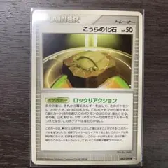 こうらの化石のサムネイル