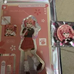 Hololive 櫻巫女壽司郎聯名限定壓克力立牌 徽章