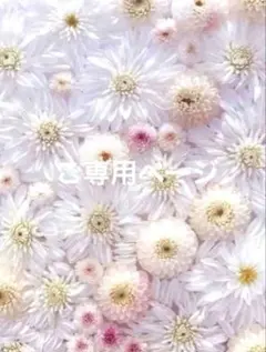 ayumi✩様 ご専用 リピーター様割