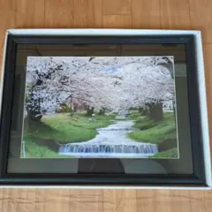 フォトフレーム　桜