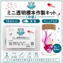 ミニ透明標本作製キット】(中級：ネズミ) 計15点 中級者向け 自由研究