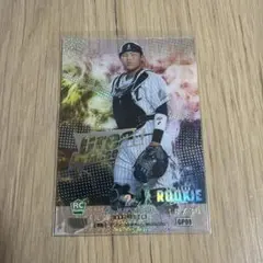 Item thumbnail for item 7b650d17-3892-4d3e-8c20-4551827d388b