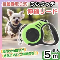 Item thumbnail for item 870dbe7c-e9c2-491e-a999-7b195e96ea42