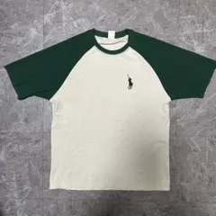 Tシャツ 3XL ワンポイント グリーン