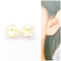 ホワイト5mmお花ピアス/イヤリング