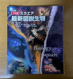 Item thumbnail for item 9e228ae9-ae51-41b9-a128-5e3000b91951