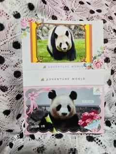 2026年最新】アドベンチャーワールドの人気アイテム - メルカリ