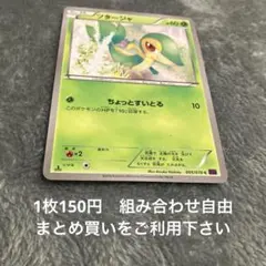ツタージャ　XY10 在庫2