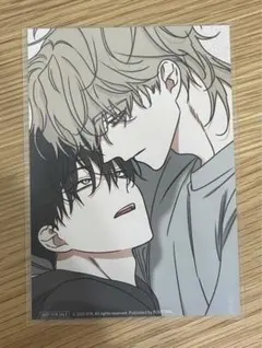 韓国BL backlight バックライト CAFE LEBOM 特典 トレカ 韓国BL backlight バックライト CAFE LEBOM 特典 トレカ 韓国 BL