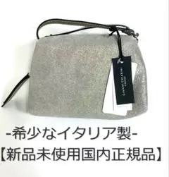 新品未使用 ジャンニキアリーニ アリファ S スモッグ ミニバッグ