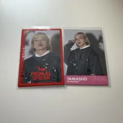 山本彰吾 フォトカード