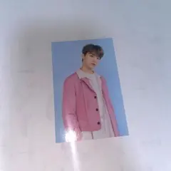 ディノ　トレカ