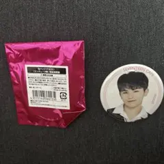 SEVENTEEN ランダム缶バッジ　ウジ
