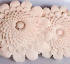 アンティーク 帯留 本珊瑚 花の形状の帯留め 薄いピンク 菊