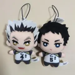 ハイキュー！！　ちみっともぬい　木兎光太郎　赤葦京治　サンリオ