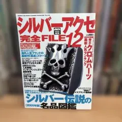 シルバーアクセ完全FILE8 - メルカリ