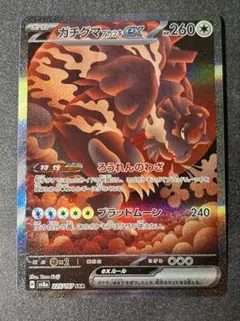 2026年最新】ガチグマSARの人気アイテム - メルカリ