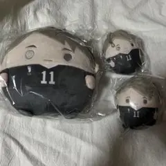 ハイキュー ぬいくじ ふわコロりん くじメイト C,D賞 宮治