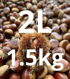 栗2026-3 L～LL コンパクト約1.4kg〜1.5kg - メルカリ